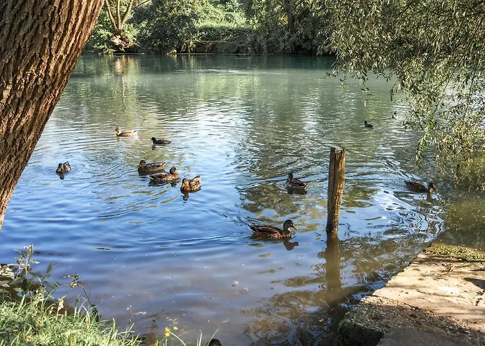 Apartment La Casa Rossa Treviso